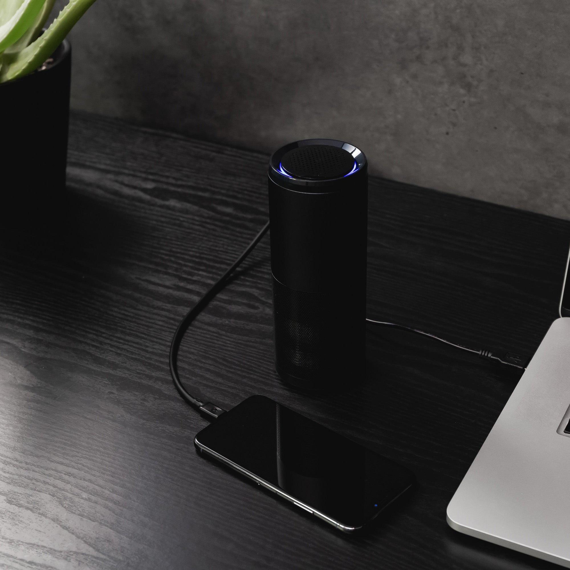 CleanLightAir_Lifestyle_Desk_BlackWood1200x1200